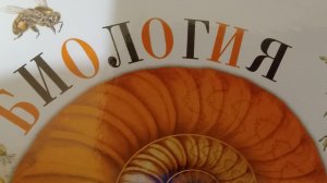 соник Шедоу и Сильвер в школе