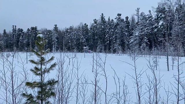 Выходные на природе.