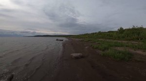 Мы Вновь на Рыбалку за ХИЩНИКОМ!!!