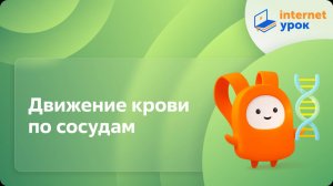 Биология 8 класс. Движение крови по сосудам
