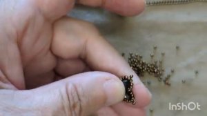 МК Как сделать клевер из бусин и собрать браслет  от Nono Hand Made