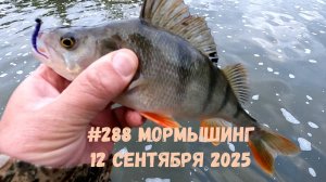 #288 Мормышинг обзор за 12 сентября 2025