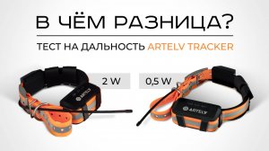 Как работает GPS-ошейник для собак в реальных условиях?