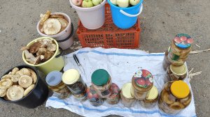 Хроника дня // торговля на трассе//