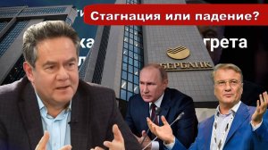 Николай Платошкин о ЗАЯВЛЕНИИ Германа ГРЕФА _Экономика летит в трубу...