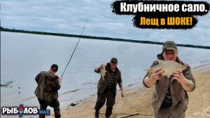 Попал на раздачу осеннего леща. Клубничное сало для леща. Лещ на сало осенью.  Рыбалка ночью