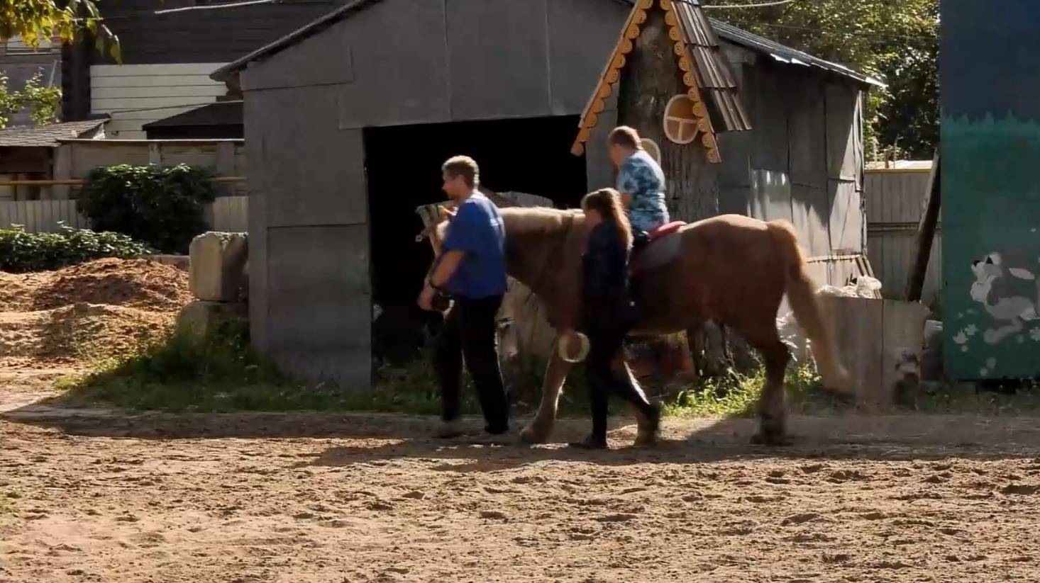 Стальная воля, реабилитация, детский фестиваль. Неограниченные возможности