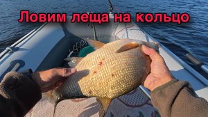 ЛОВИМ ЛЕЩА НА КОЛЬЦО 19 07 25