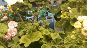 сезон окончен а жизнь продолжается!