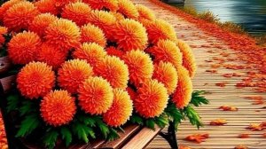 12-09-2025 Жизнь в деревне 🏠. Все как обычно.