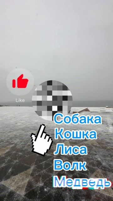 Развиваем интуицию смотреть онлайн