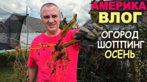 Пришла пора! Обещанное видео, шоппинг в 2х классных магазинах ⧸ Сколько стоит творчество в США Влог