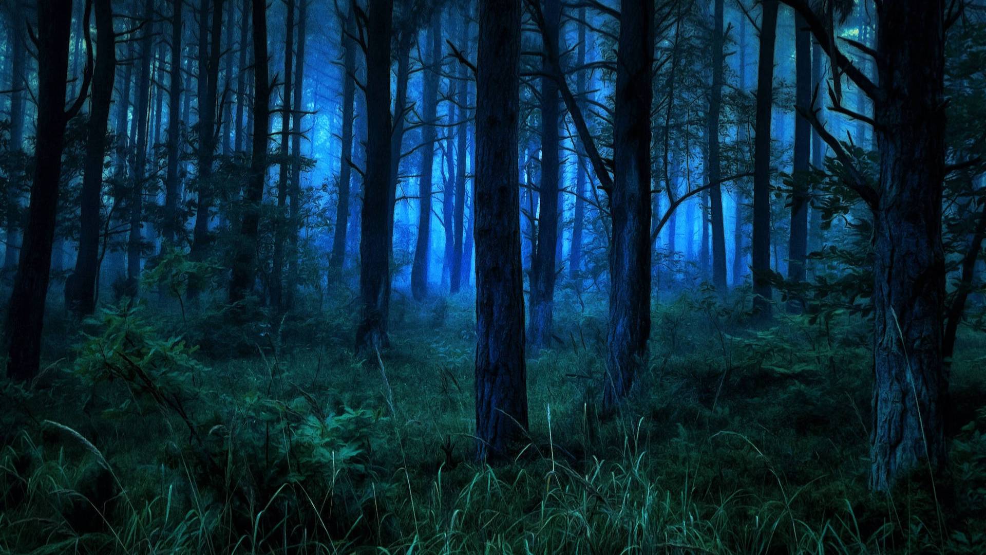 Isma - Percussions (Hardtechno) (DSouL House Club) - @La Selva Forest -  Part 2