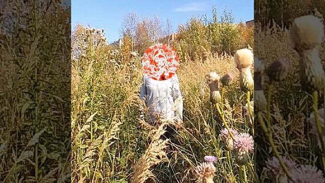 Девушка в поле запела на арабском смотреть онлайн