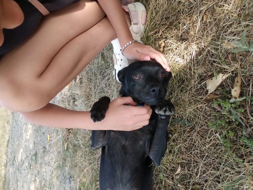 юю смотреть онлайн