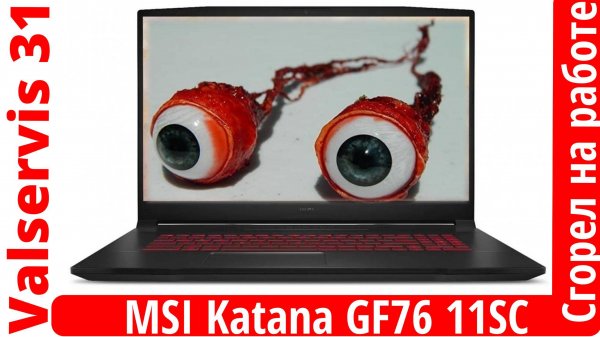 Сгорел на работе - ремонт MSI Katana GF76 11SC