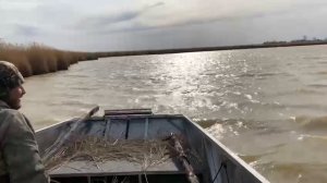 Аэролодка Нерпа 341Б Некст Люкс видео покупателя. Новосибирская область