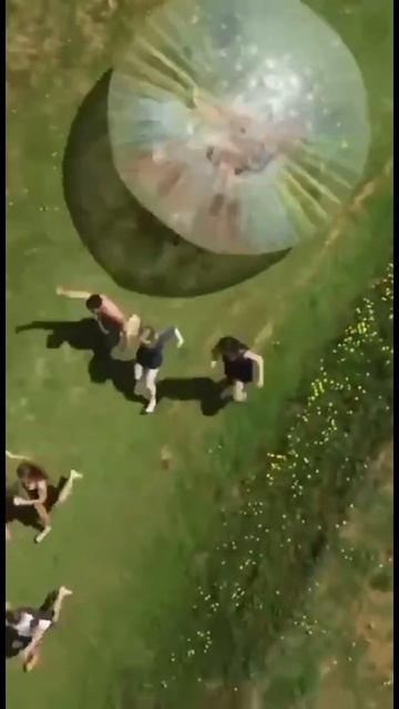 Красивые бега