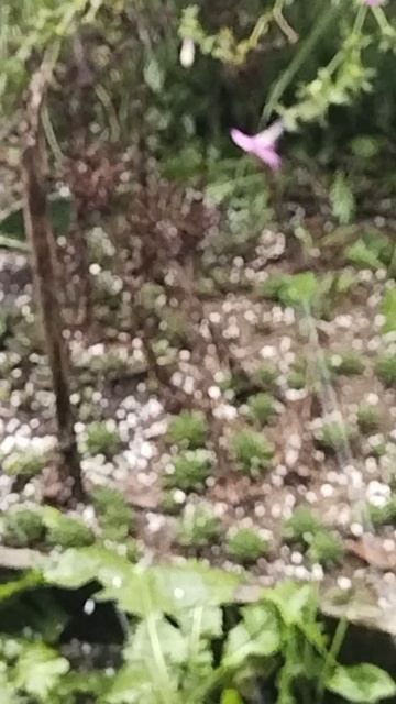 #Природа#град#осень#!