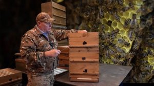 ПОДГОТОВКА ПЧЕЛ К ПРОМЫШЛЕННОМУ ПЧЕЛОВОЖДЕНИЮ