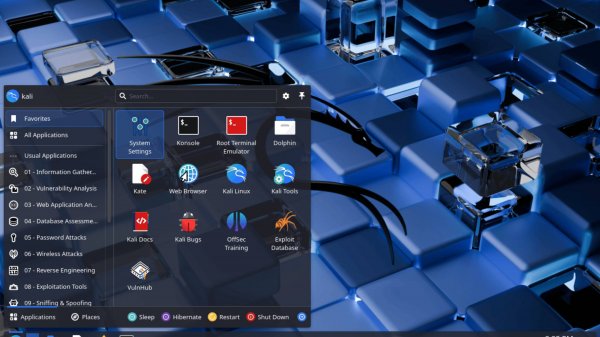 Установка операционной системы Kali Linux 2025.2.