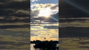 Кайрат Нуртас  - Сени суйем саксофон