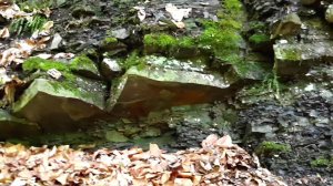 1000 метровый спуск к ручью.