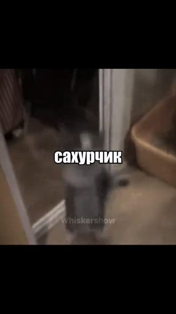 чтобы вам было весело смотреть онлайн