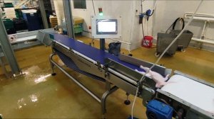 Учет веса Куриной тушки