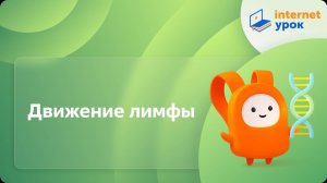 Биология 8 класс. Движение лимфы
