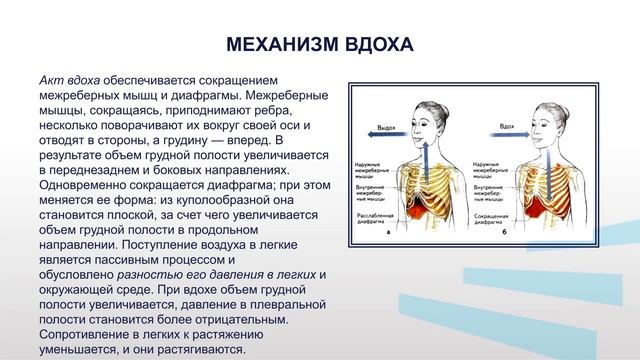 Жиленко ФЗ 2 1