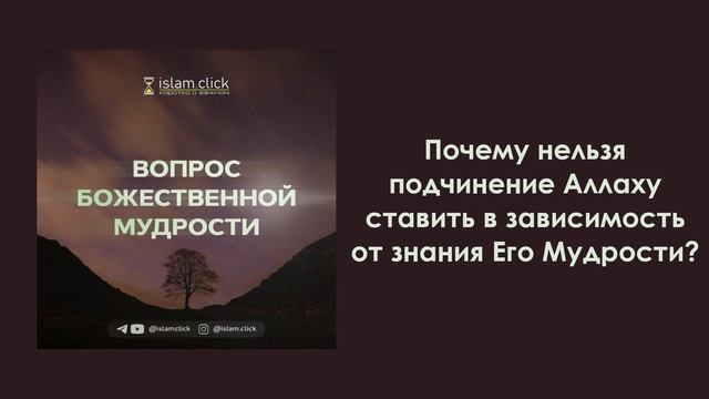 Почему нельзя подчинение Аллаху ставить в зависимость от знания Его Мудрости? Абу Яхья Крымский смотреть онлайн