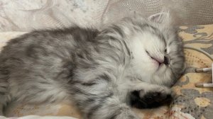 мой день (влог)🤍🤗