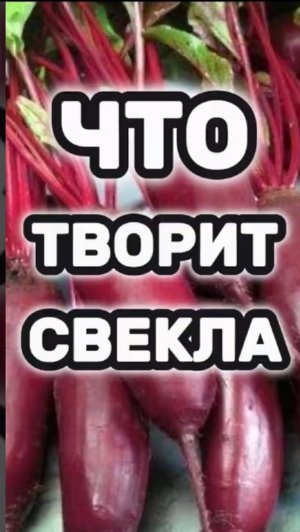 Ешьте свёклу каждый день, вот что произойдёт с вашим организмом!