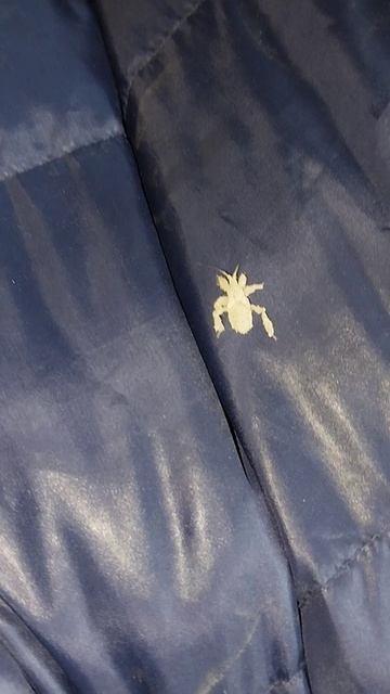 Чудовище на иву :) смотреть онлайн