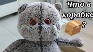 РАСПАКОВКА БОКСА С ИГРУШКОЙ 🎁ЛИЛИШКИ ОТКРЫВАЮТ РУСАЛОЧКУ 🧜♀️КТО ЖЕ ТАМ ПОПАЛСЯ?БАСИКИ ЛИЛИ 🫶❤