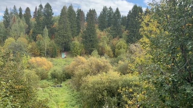 Тарзанка смотреть онлайн