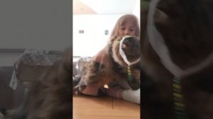 (?) /   часть 2