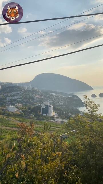 Красивый Вид На Гурзуф #крым#ялта#горы#tigrvtanke#блогер смотреть онлайн