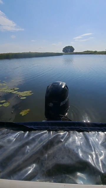 катер Vs авто