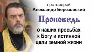 О наших просьбах к Богу и истинной цели земной жизни (2025.09.12). Протоиерей Александр Березовский