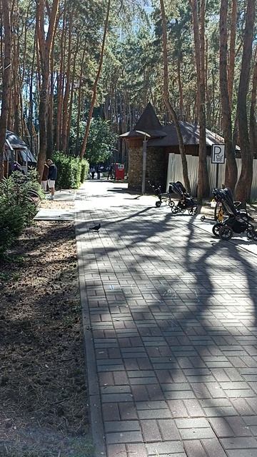 Опять Воронеж, опять парк "Дельфин" смотреть онлайн