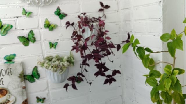 Сегодня праздник у шоколадоежек – поздравляю!