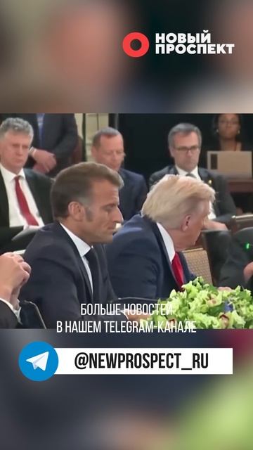 Европейские лидеры убедили Трампа, что Россия не заинтересована в прекращении украинского конфликта смотреть онлайн