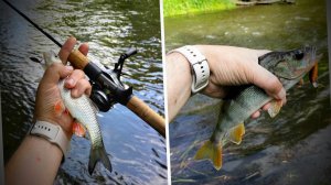 Вот и осень, новые точки на Пахре