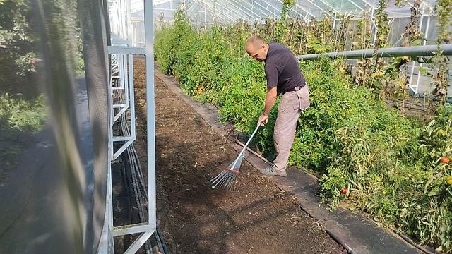Работа.
