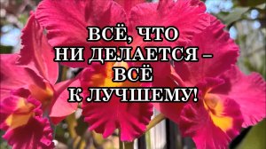 ВСЁ, ЧТО НИ ДЕЛАЕТСЯ – ВСЁ К ЛУЧШЕМУ. В ВАС РОЖДАЕТСЯ ХРИСТОСОЗНАНИЕ. Послание Архангела Гавриила.