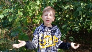 Стихотворение Сергея Есенина "Гой ты, Русь, моя родная" в исполнении Алексеева Артёма