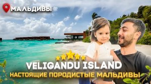 Veligandu Island 5* МАЛЬДИВЫ - Открытие года! Тут есть всё, кроме...