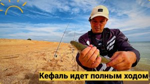 Кефаль идет полным ходом рыбалка 2025